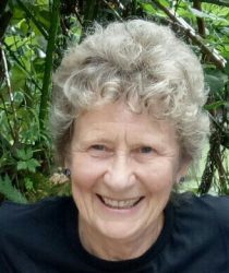 Sue Brink volunteer headshot Apr 2018